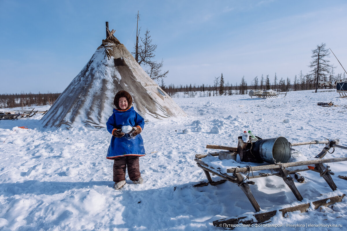 Зимующие птицы. Как жить зимой. Как жить зимой. Оймякон холод. Как проводят зиму птицы.