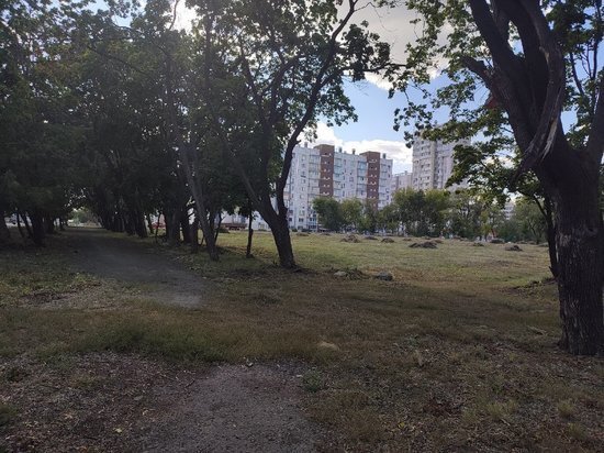     В 2023 году будет продолжено благоустройство "Плодушки". Фото: администрация Ленинского района.