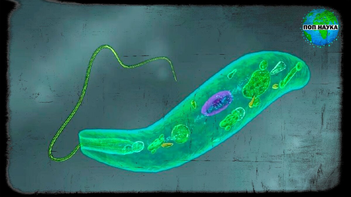 Изображение из открытых источников