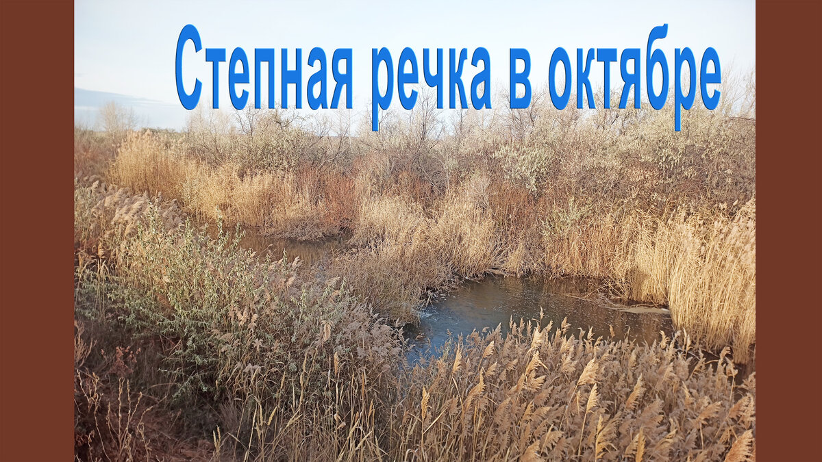 Степная речка в октябре