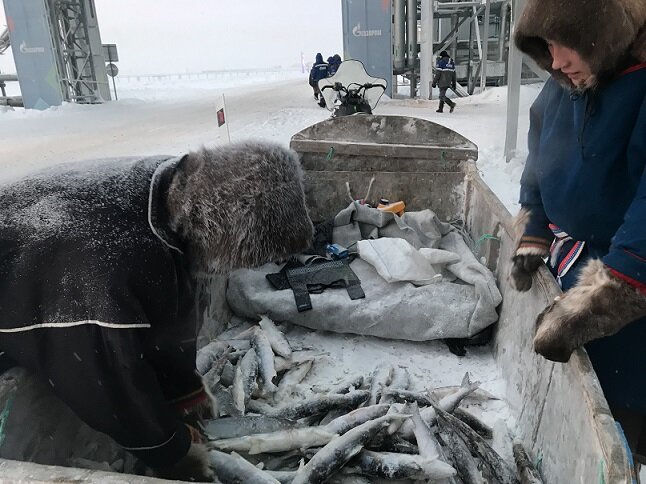 Авторская иллюстрация к статье из личного фотоархива