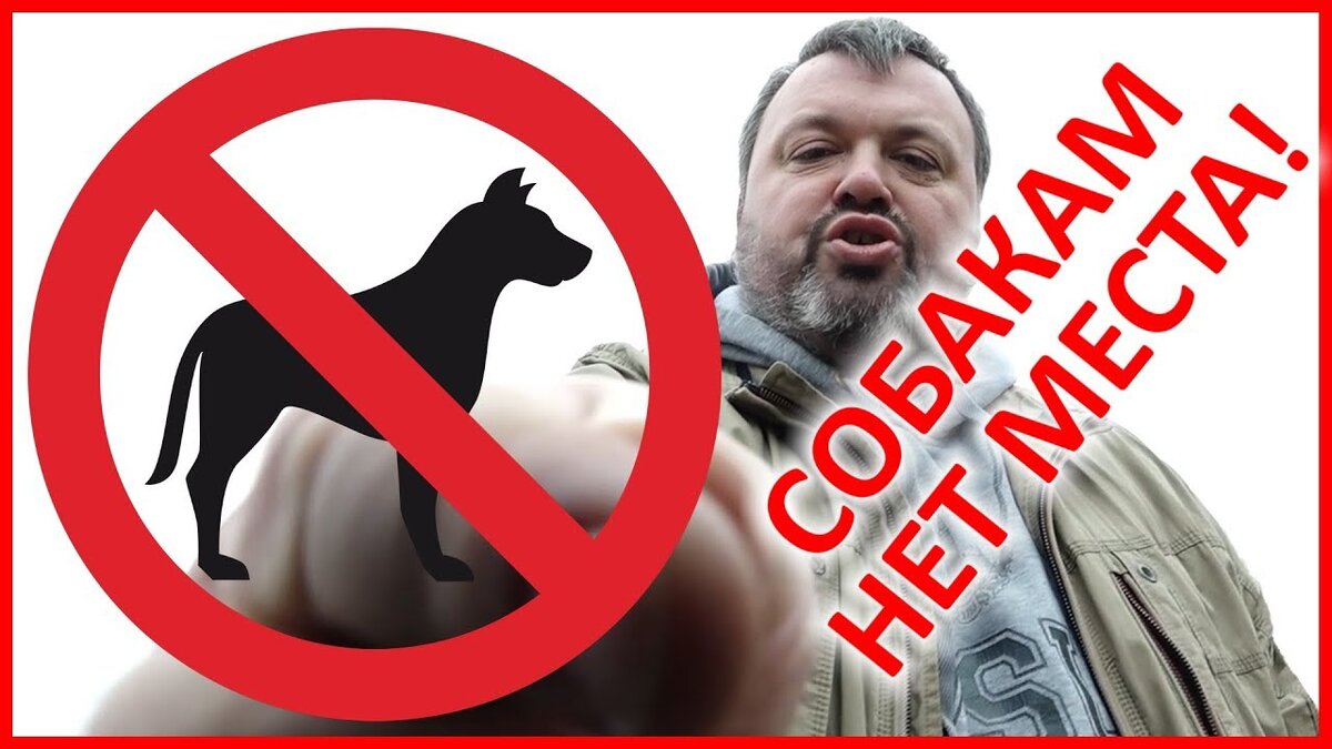 Картинка из интернета.