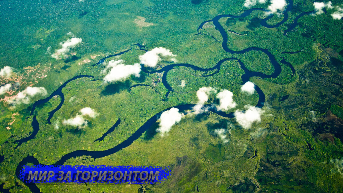 Все картинки взяты с сервиса Яндекс. Картинки