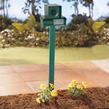 Стационарные отпугиватели - красный свет для диких и бродячих животных