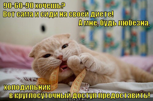 Заметили, что последние дни у кота быстро заканчивается корм. В ходе разбирательств выяснилось, что кот изобрёл схему, по которой он караулит каждого члена семьи на кухне в одиночестве, делает вид, что мама его не кормила, и просит еды. Так он уже несколько дней трижды обедал. То есть, он специально не просил есть при всех, чтобы не спалиться, и выжидал время, когда другие члены семьи куда-то уйдут: на улицу или в более удалённые от кухни части квартиры.
Шерстяной манипулятор.
