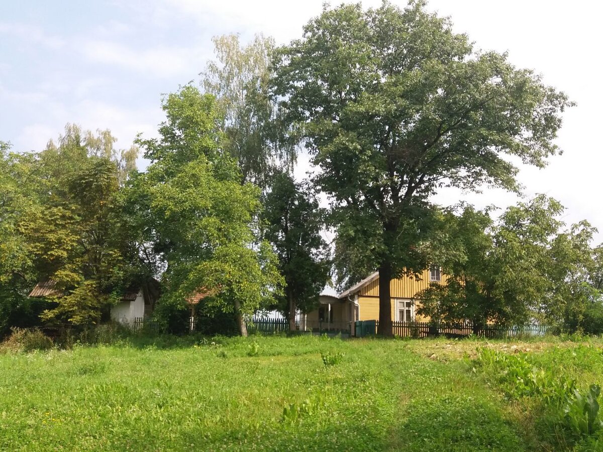 Мелочь давно повырезали, а остальное разрослось...