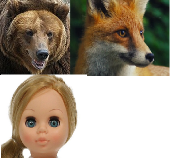 Ну, согласитесь, здесь нет ничего общего со шпицем. С чем связаны такие ассоциации мне, как породнику, не ясны.