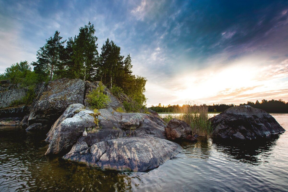 Фото: https://www.pinterest.ru/pin/360569513916990573/