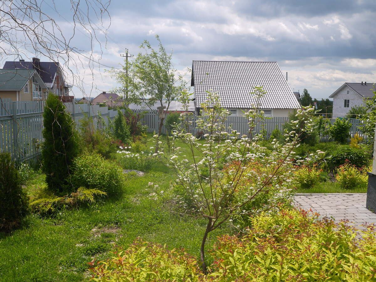 Так выглядел участок в период  2015-2017 г. Посмотрите всю галерею.