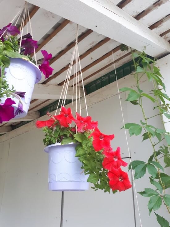 Жизнь прекрасна.