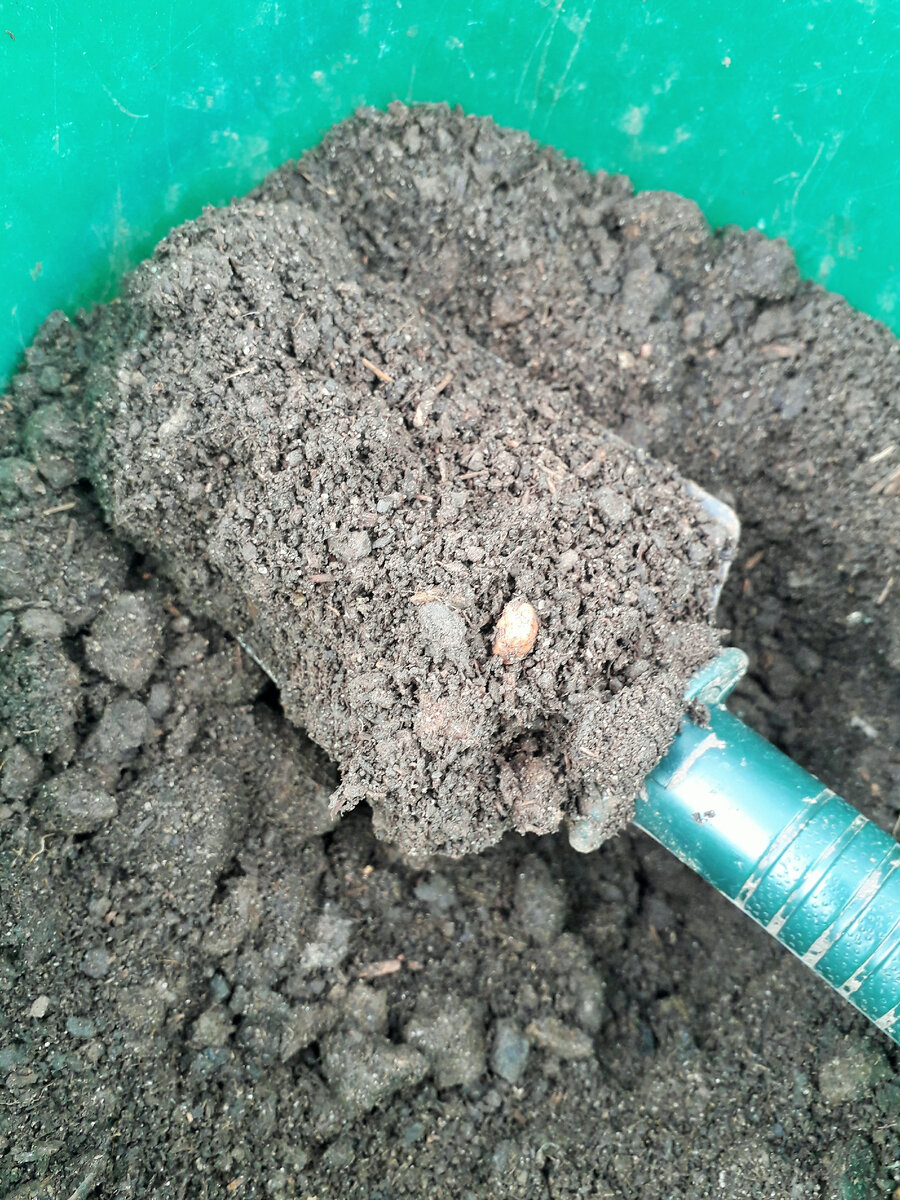 Полезный состав компоста способствует развитию полезных и правильных бактерий.