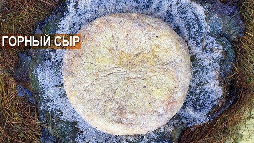 Традиционный Дагестанский овечий сыр. Как делают сыр в горах? Агрофирма Чох.