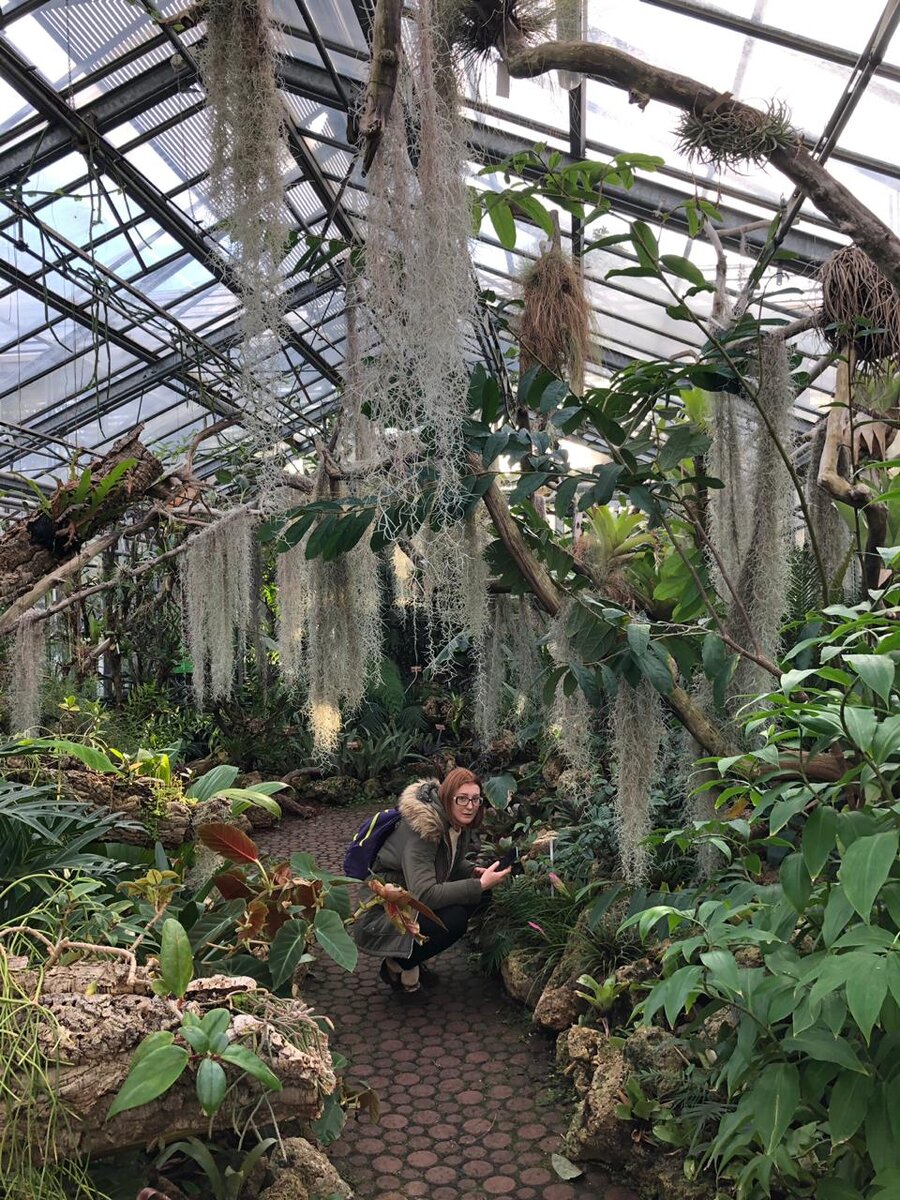 Знали ли вы, что в Женеве ботанический сад открыт для посещения совершенно бесплатно? Студенты трудятся в теплицах, вы можете наблюдать за этим, и даже спрашивать их - они охотно делятся знаниями. Многие ботанические сады открыты для всех желающих в городах Европы.