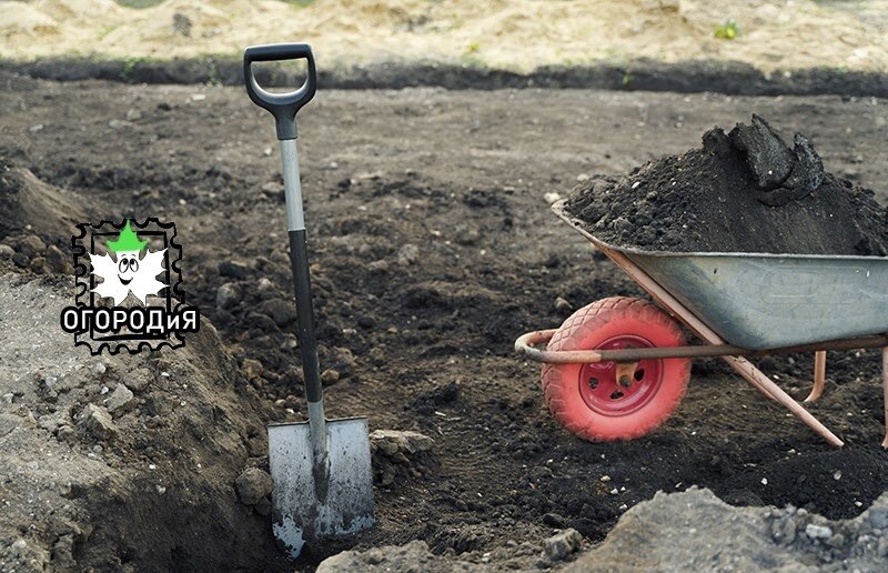 Мы часто делаем много тяжелого и, порой, вредного для урожая труда