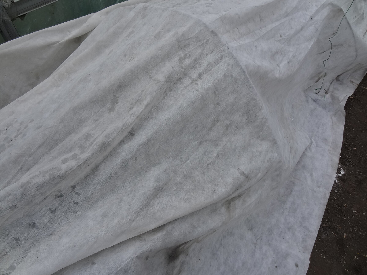 Агроволокно в самодельной пленочной теплице.