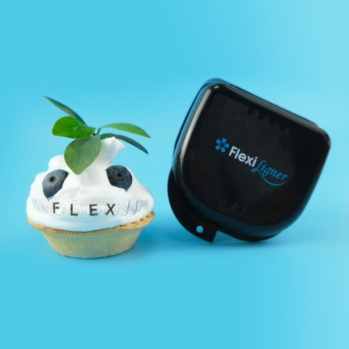 фото FlexiLigner.