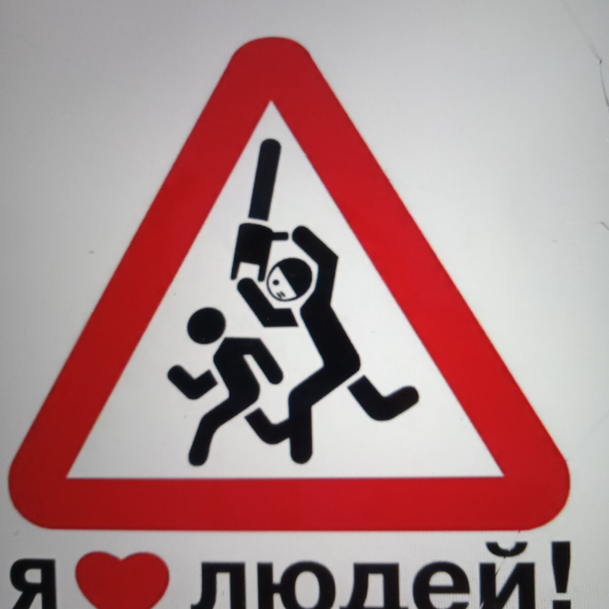 Фото автора. Хочу такую картинку на куртку во всю спину. 😁