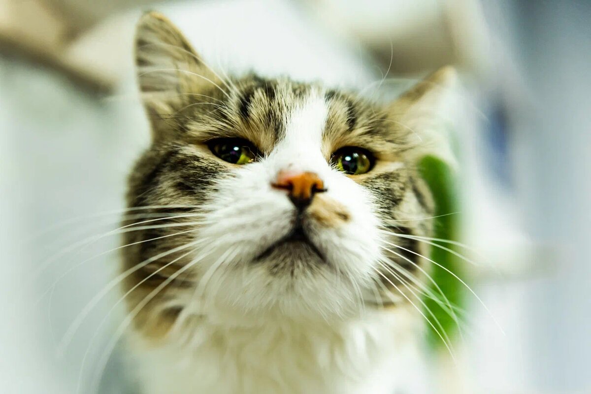 Маркус из FrrFrrHouse 