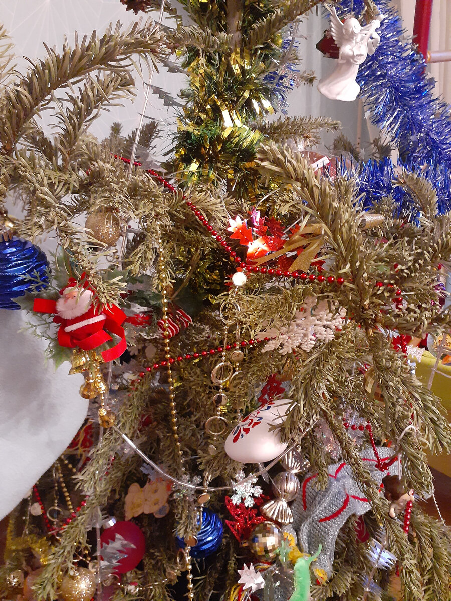 Ёлка-пихта до сих пор стоит. Засохла, но не осыпалась.