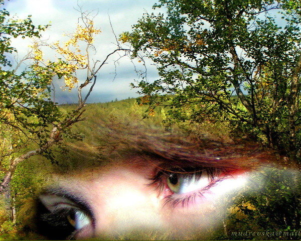 Картина взята из Яндекс. картинки.