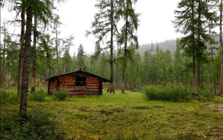 Лесная избушка.