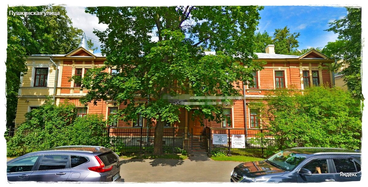 ул. Пушкинская, дом 14 в г. Пушкин по состоянию на 2009 г.