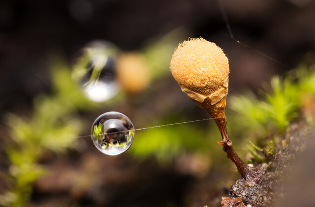 КТО ЖИВЕТ В МЕРТВОМ МОРЕ? | МОЯ ПЛАНЕТА | Дзен