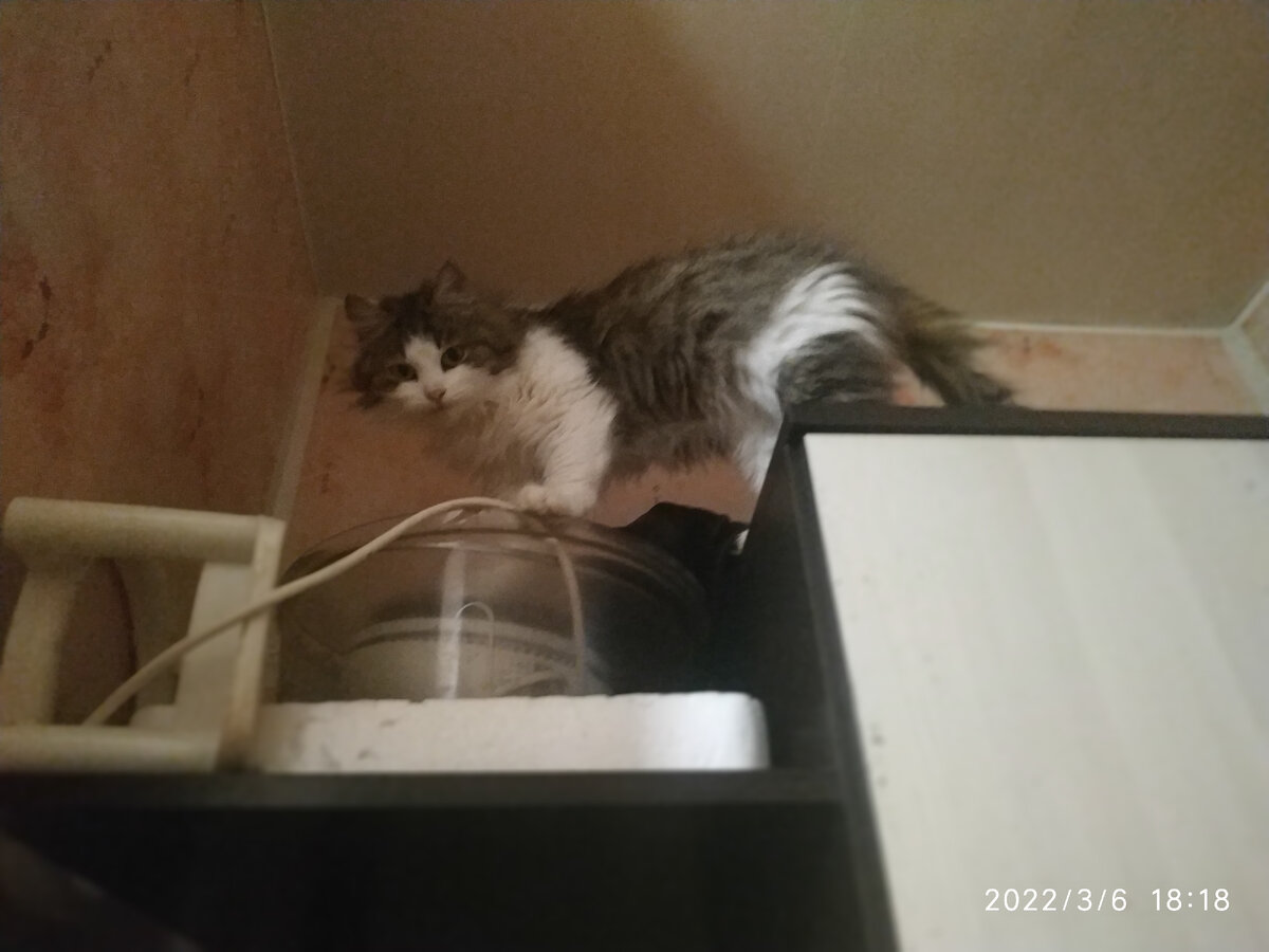 Людочка живет на верхних этажах.