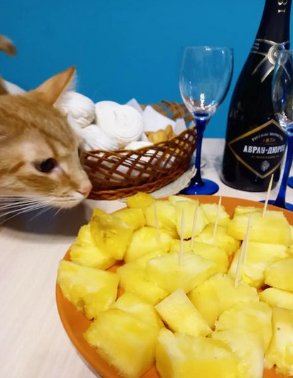 Персиваль и Старый новый год