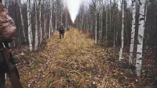 В поисках лося и боровой дичи. Как из старого вагона УЖД сделать избу