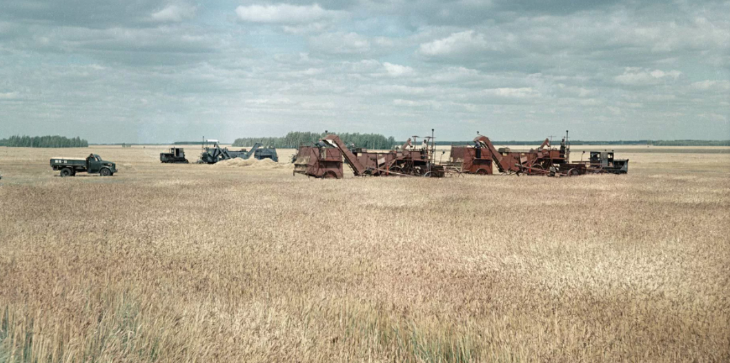 wfi.lomasm.ru. Фото с Яндекса. Уборка.