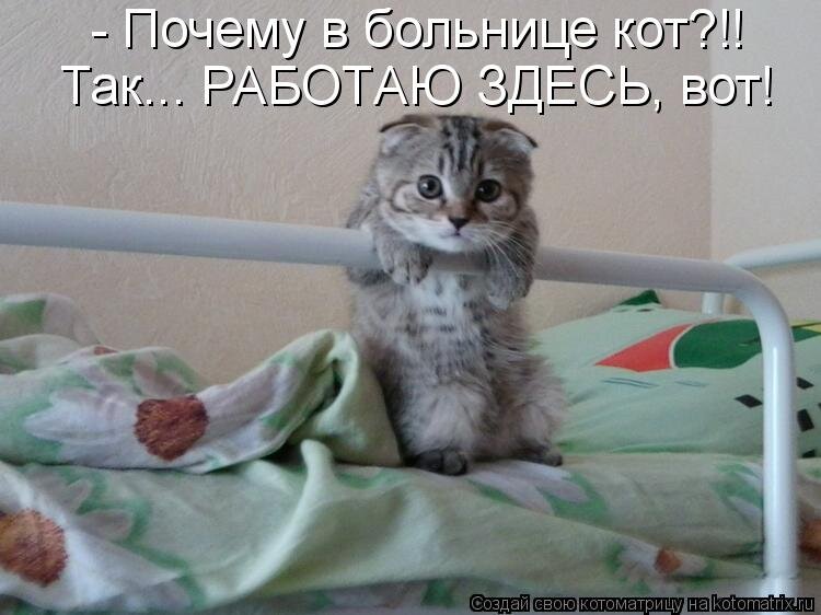 Яндекс.Картинки