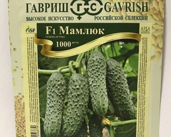 Мамлюк от 