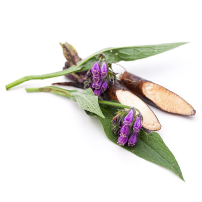 окопник лекарственный