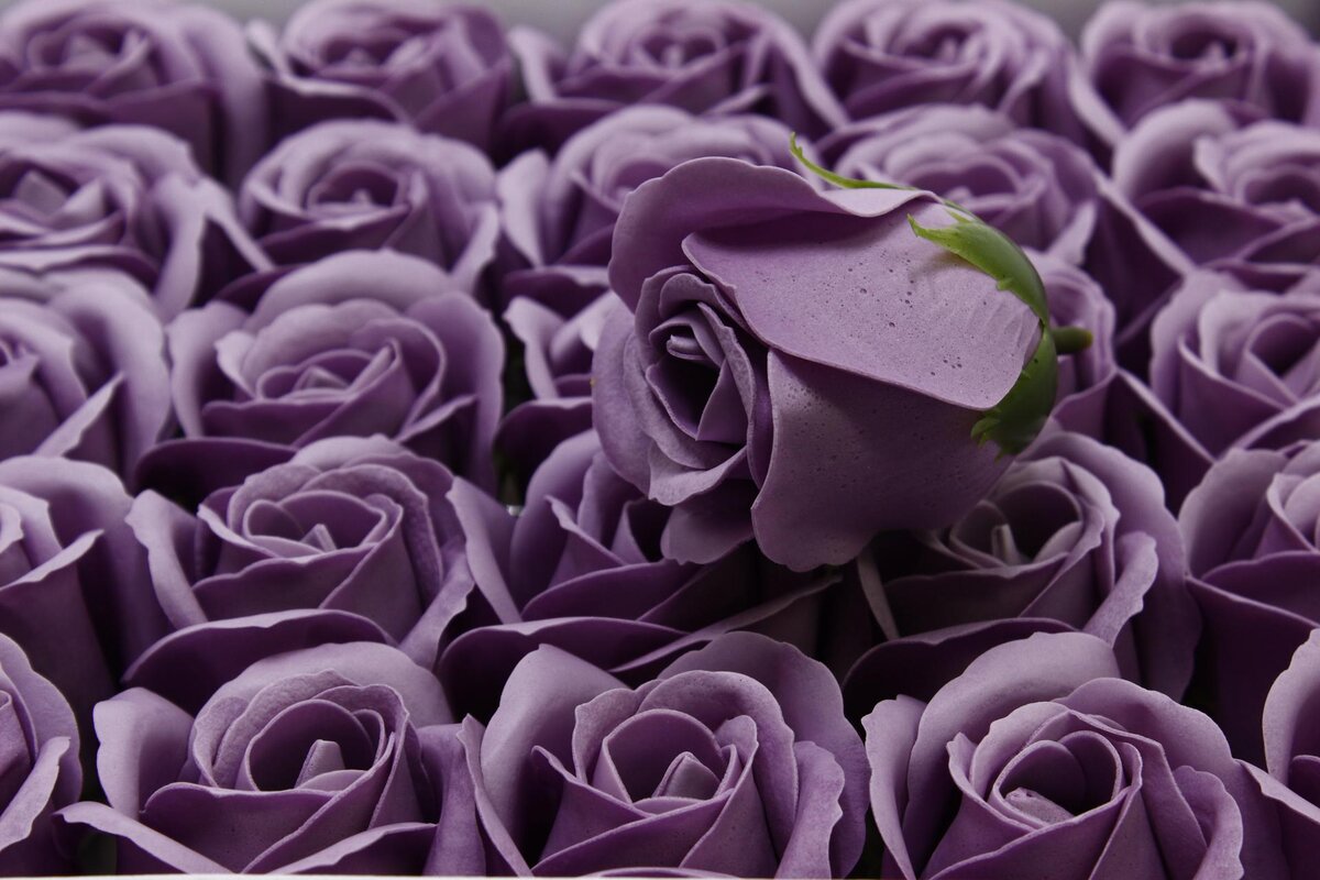 Мыльные розы(фото из интернета)