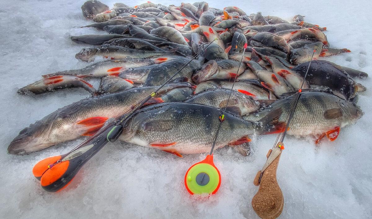 Блесна, мормышка или безмотылка? Что эффективнее? | Max Fishing | Дзен