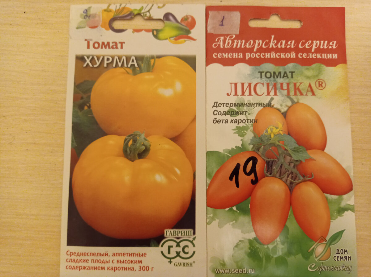 Вот такие семена у томатов Хурма и Лисичка удалось купить в этом году
