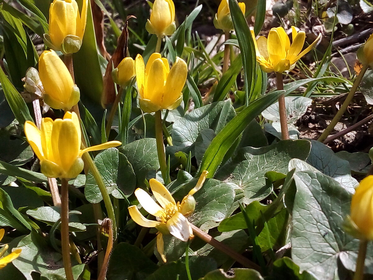 Весна вспомнила о своих обязанностях.