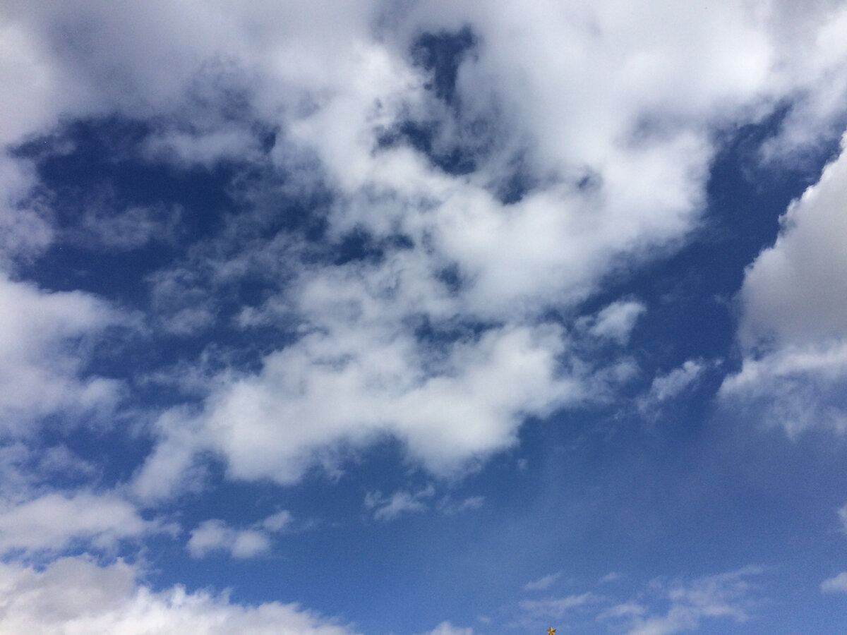 Небо высоко. Облака- белые стаи в синеве! 