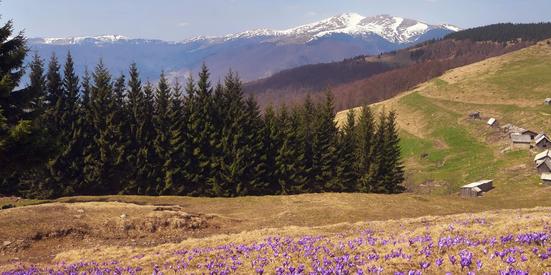 КОРОТКО ПРО АПРЕЛЬ