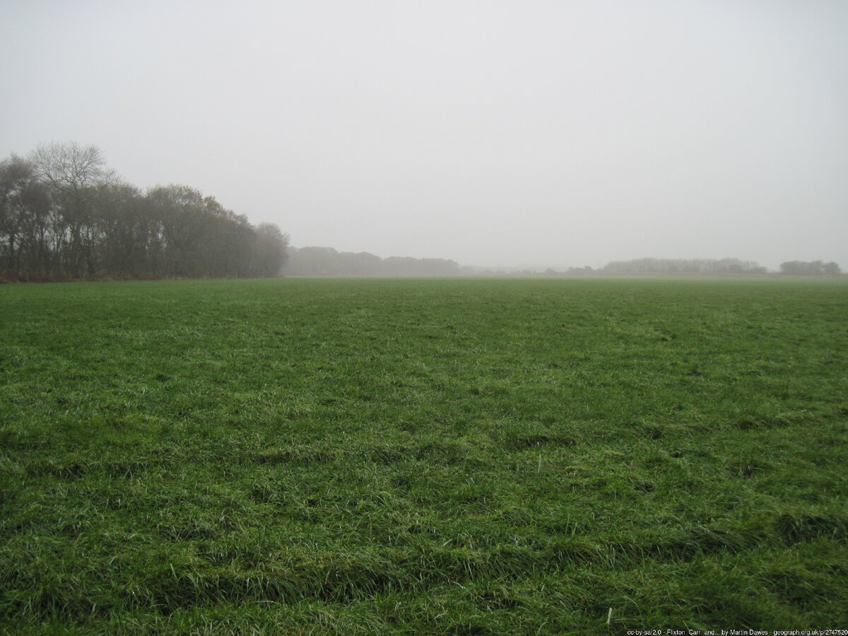 Ландшафт в окрестностях Стар-Карр. В эпоху мезолита здесь было озеро, а на его берегах рос лес. https://www.geograph.org.uk/photo/2747520