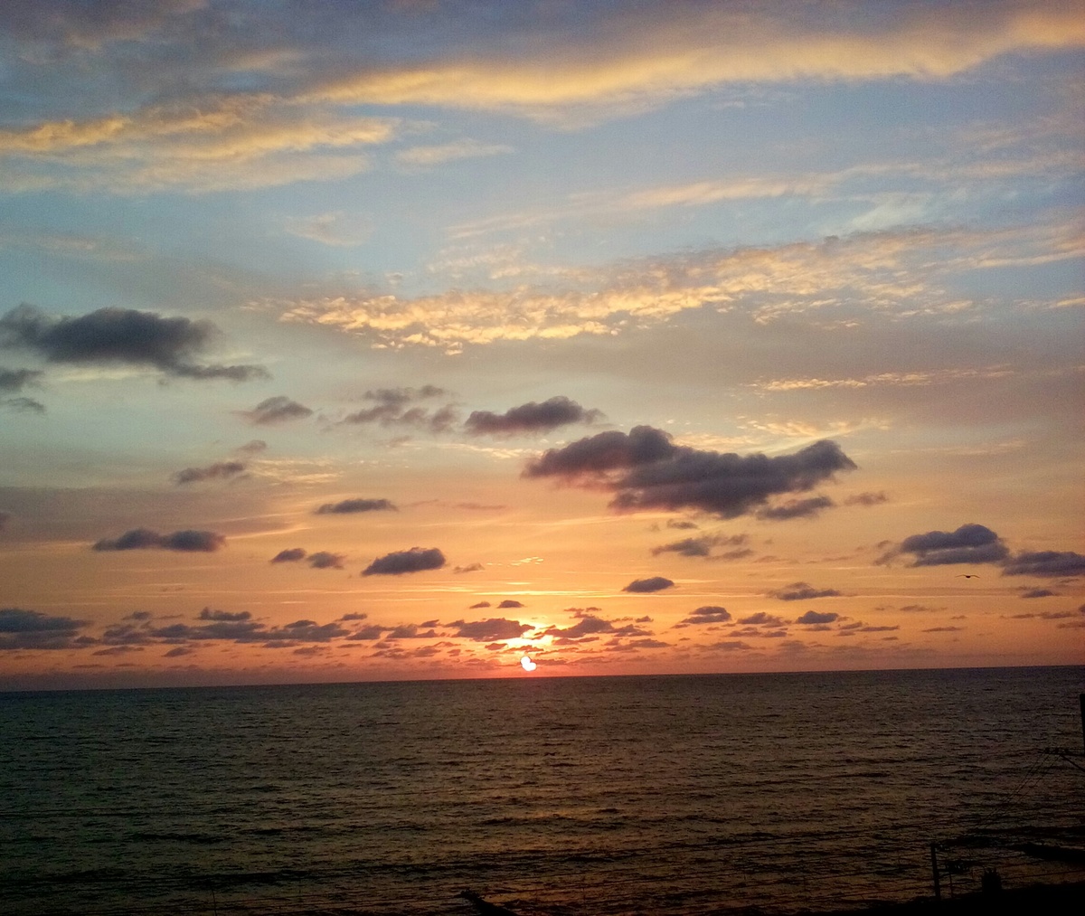 Сочи  Фото автора