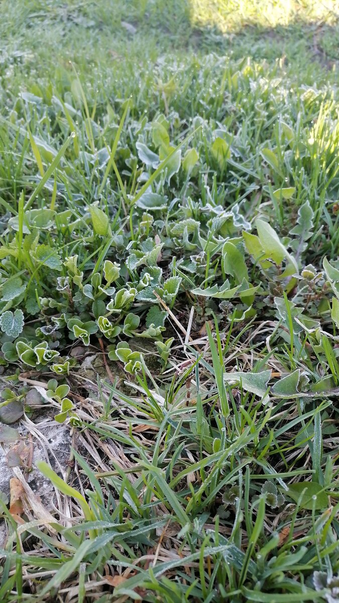 Время почти 8 часов утра