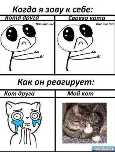 Чужой кот всегда лучше своего!