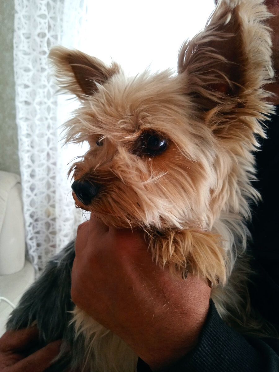 Фото автора. Фрося