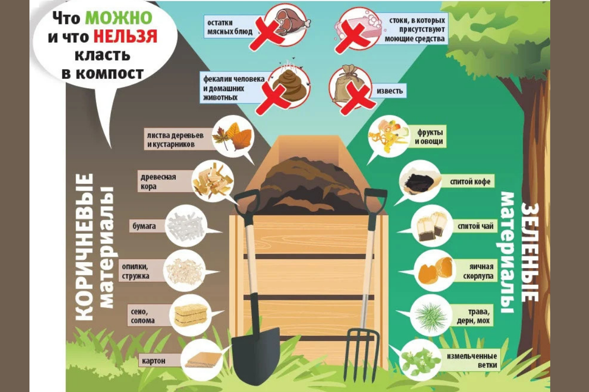 Что нельзя класть в компостирование. Сырье для компоста. Что можнокласит в компостую яму. Компост схема. Что нельзя класть в компост.