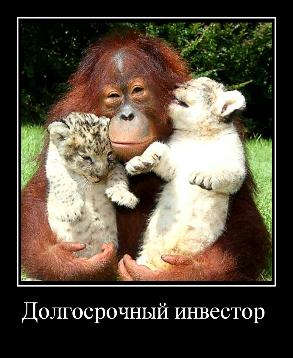 ...видит перспективные проекты)