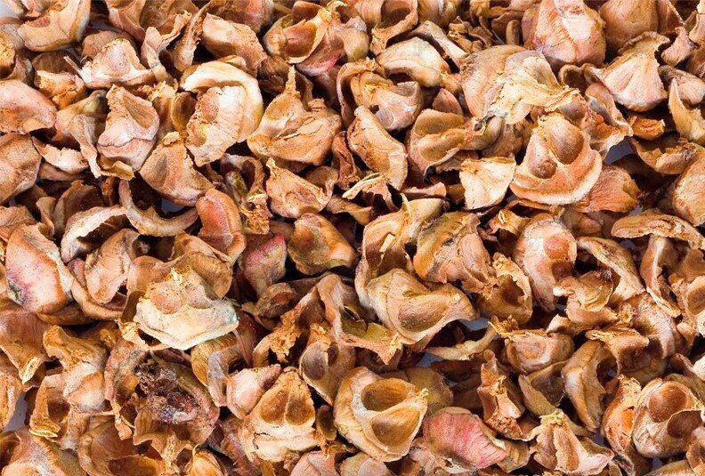 Кедровая шелуха - это лепестки кедровых шишек.