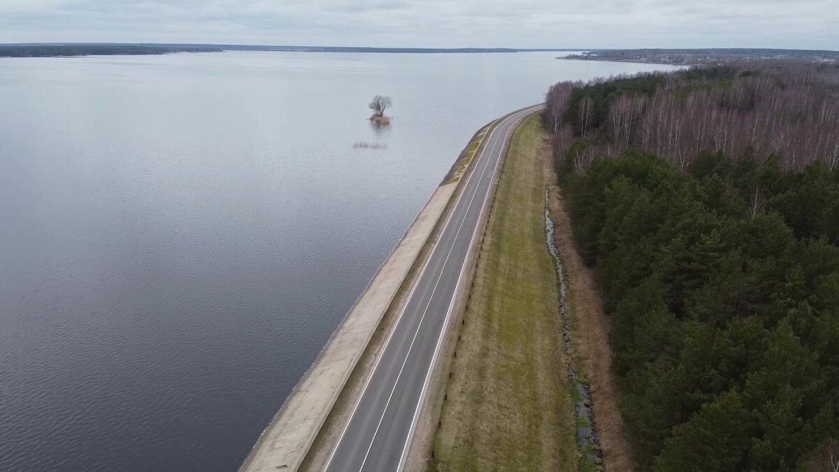 БЕЛАРУСЬ. ВИЛЕЙСКОЕ ВОДОХРАНИЛИЩЕ. Купили бы вы себе здесь домик в деревне?  | ДвижЖИЗНЬ | Дзен