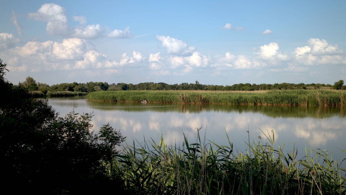 река Кочеты